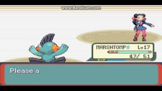 Pokemon Emeraldwhere To Get Hm Cut