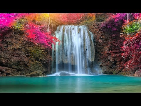 relax music bgm channel 9 HOUR Soothing Gentle Sleep Music, Music for Meditation, Peaceful Nights Sleep & Calming
