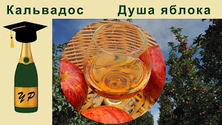 видео: Кальвадос. Душа яблока. картинка: Кальвадос. Душа яблока.