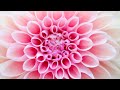 On Breaking Emotional Patterns for Transformation with Judy Wilkins-Smith and Elizabeth Markle