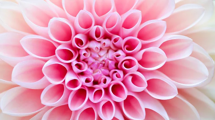 On Breaking Emotional Patterns for Transformation ...