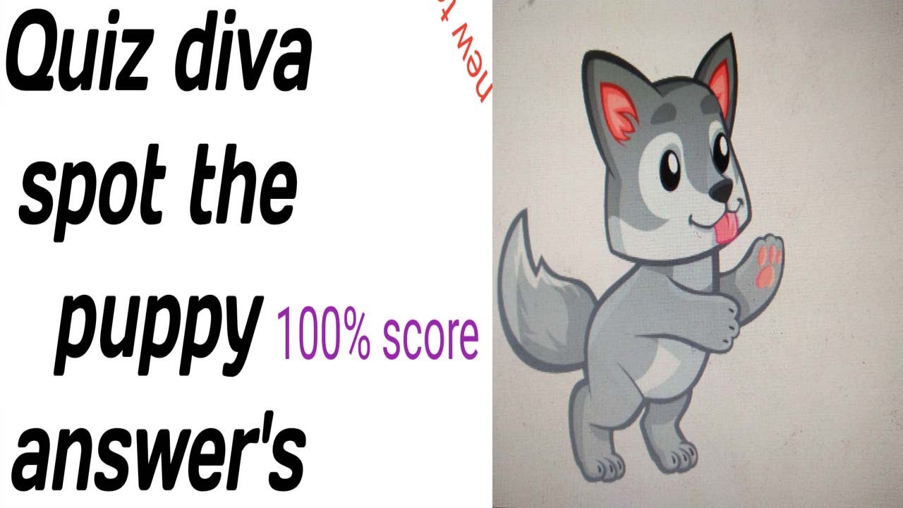 Quiz Diva Spot The Puppy Answers Youtube