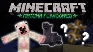 CAMEL HUSKS EVERYWHERE. | Matcha Flavoured Datapack - Part 1