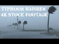 Battering Eyewall Wind, Storm Surge And Sheets Of Rain - 4K Stock Footage Typhoon Haishen