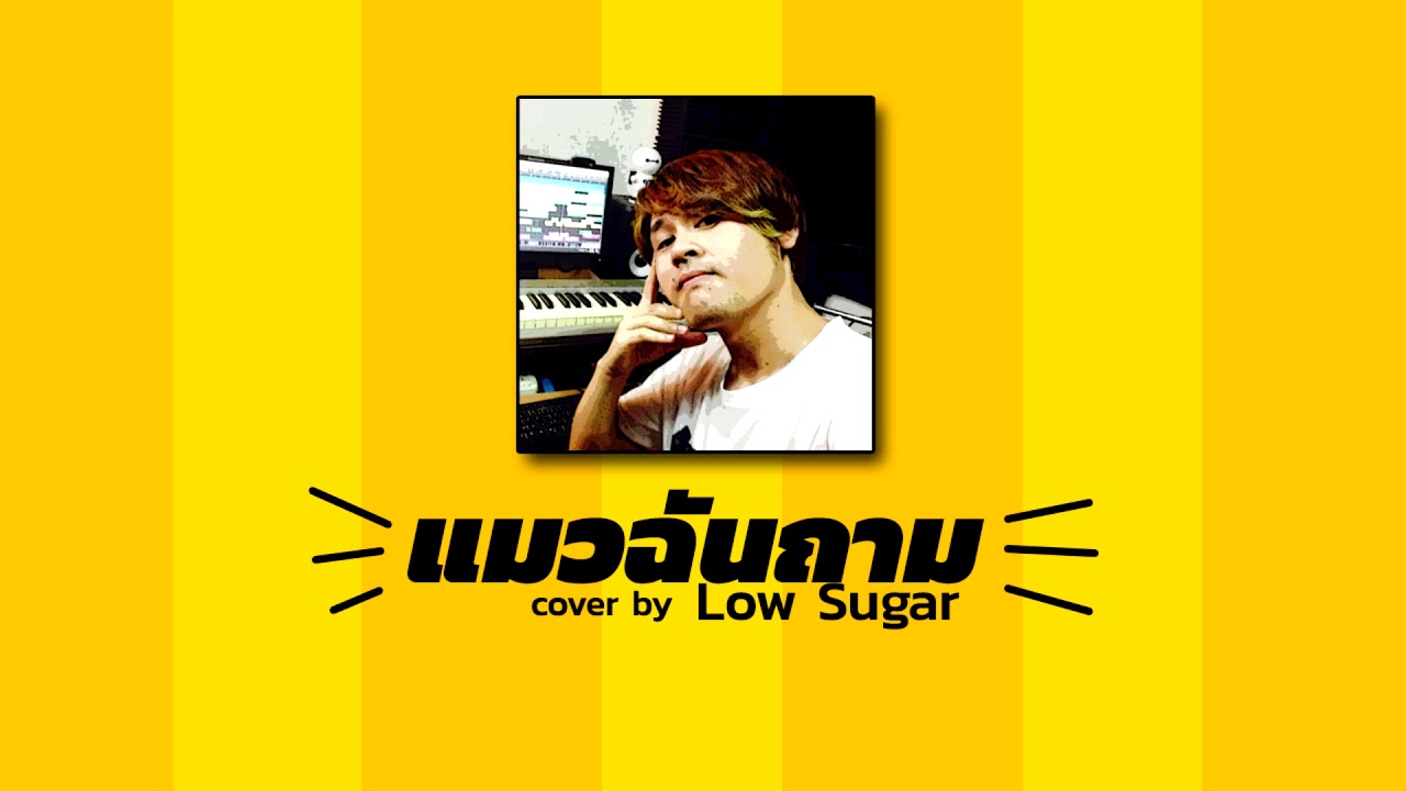 แมวฉันถาม แมวฉันถาม - หนูนา หนึ่งธิดา | cover by Low Sugar - YouTube