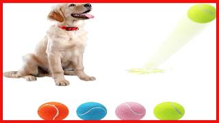 Details Magicorange Durable Tennis Balls for Dogs – Bright, Safe, and Fun 4-Pack News