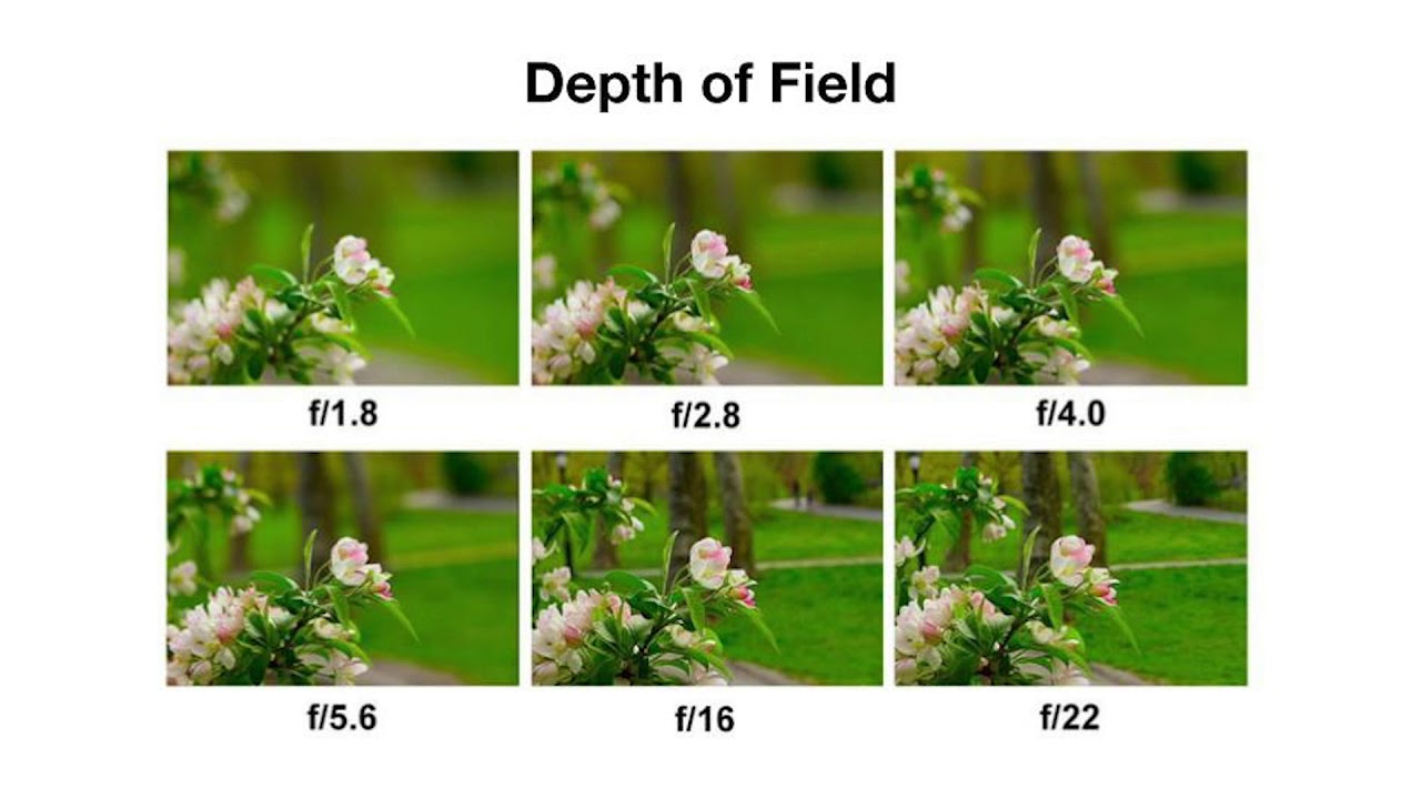 Глубина резкости в мире нет. Разница диафрагмы. Диафрагма и глубина резкости. Закрытая диафрагма в фотоаппарате. Диафрагма f/1.8.