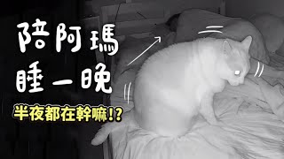 【黃阿瑪的後宮生活】陪阿瑪睡一晚半夜都在幹嘛