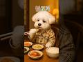&quot;윤빌리 여행 후 한식이 생각날때 best 5 &quot;  #shortvideo #강아지 #애견영상 #귀여운영상 #쇼츠 #윤빌리tv #짧은영상 #한식 #한식먹방 #먹방