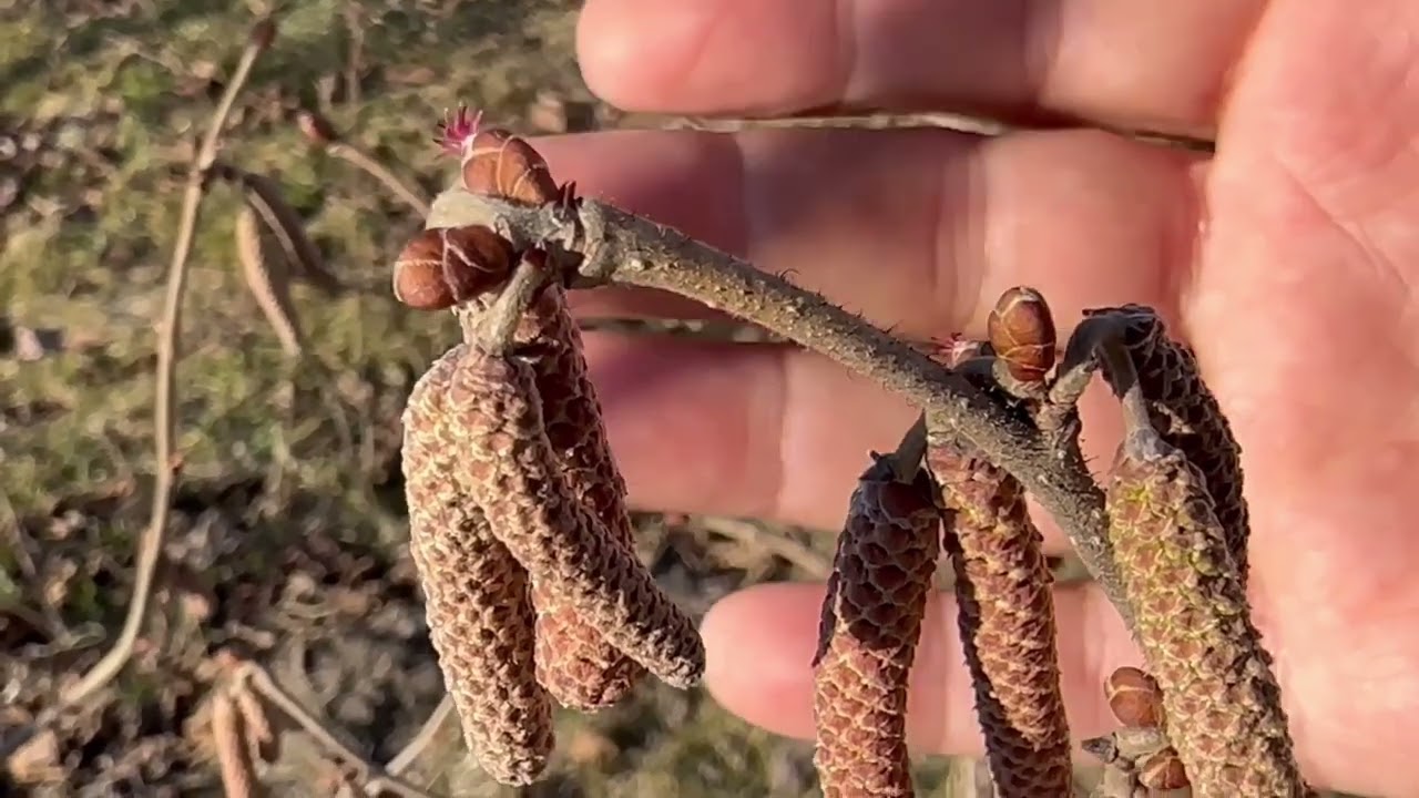 ФУНДУК в БЕЛАРУСИ. ОШИБКИ