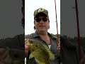 Match what the bass are eating by matching the hatch