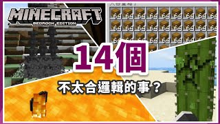 MCPE(BE) | 在Minecraft裡面不合現實邏輯的14件事…