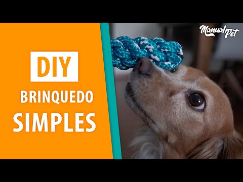 Vídeo: Super simples diy doggy corda brinquedo