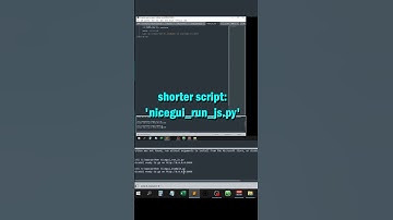 Webapp Loading Problem | #nicegui |