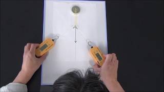 Measure Force with the Digital Newton Meter | Arbor Scientific