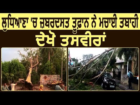 तस्वीरों में देखें कैसे Ludhiana में तूफान ने मचाई तबाही