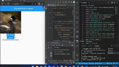 Web based image Classification for flutter using flask API and inceptionV3