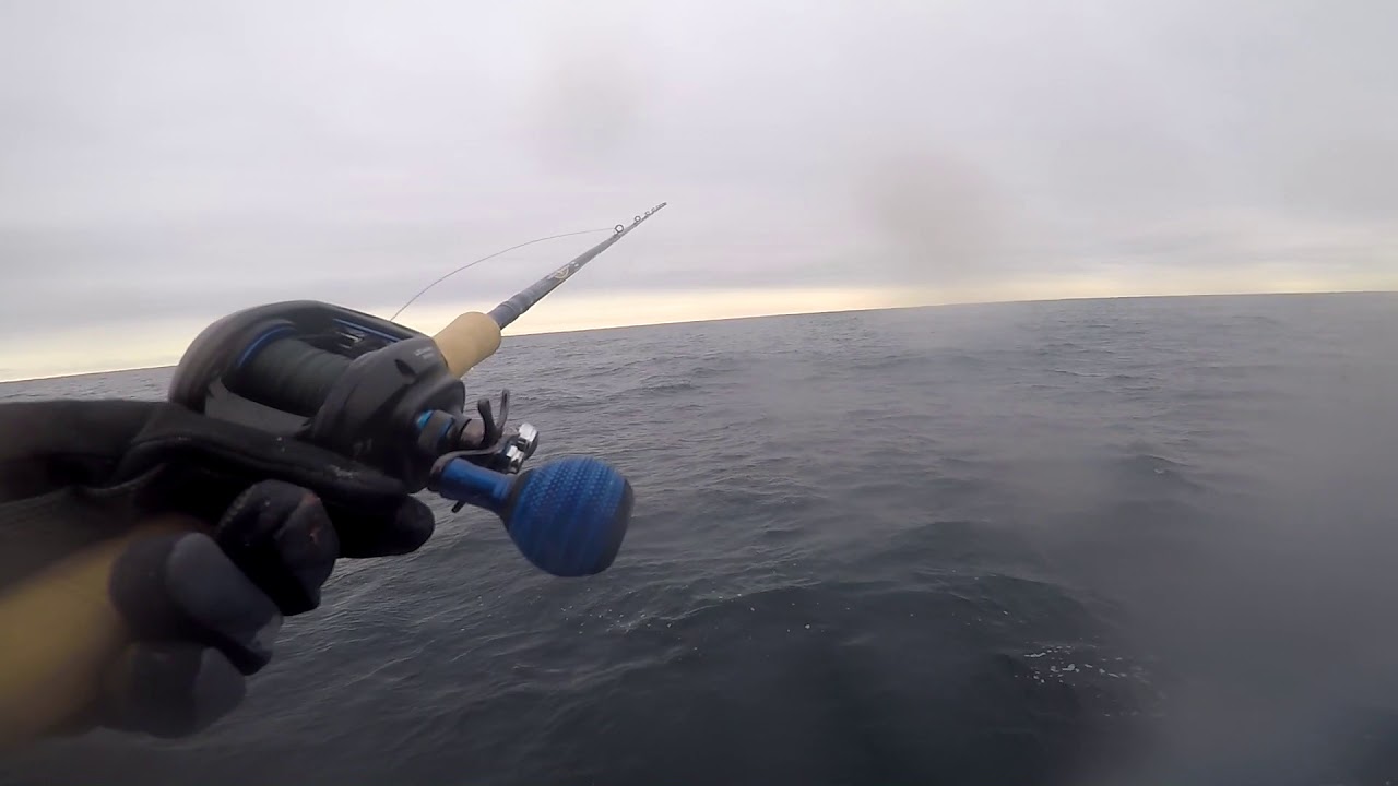 2017 December, on the Angler in Ocean City, MD fishing for black sea