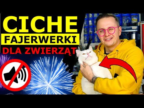 Wideo: Ciche Fajerwerki: Rosnąca Tendencja Do łagodzenia Nerwowych Psów I Zwierząt