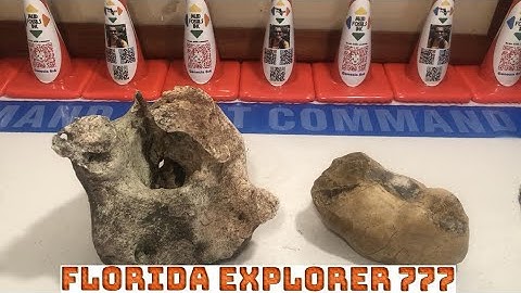 MudFossil Heart MU Certified