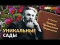 Как крымчане выращивали фрукты без воды? | Крым.Реалии ТВ