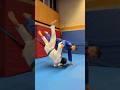 The Principle Of Leg Movement In Judo Throws Judo Judotechnique Uchimata Ouchigari Seoinage 