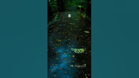 Which one gives you best vibes? 🌿💖🌸 ft. Suzume - Part 30 #nature #fypシ゚viral #peaceful