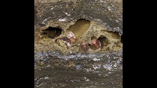 Video: Rhodochrosite, Santa Eulalia, Mexico, 4.6 cm