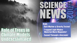 Trees Play A Bigger Role In Climate Models Than We Thought