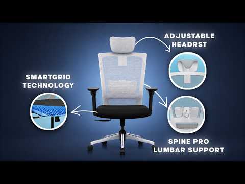 Best Ergonomic Office Chair 2026 | Stylux Review – No More Back Pain!