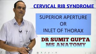 INLET OF THORAX : Cervical rib screenshot 1