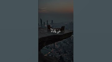 أكتب شيء تؤجر عليه ❤️ 🤲 #تلاوة_خاشعة