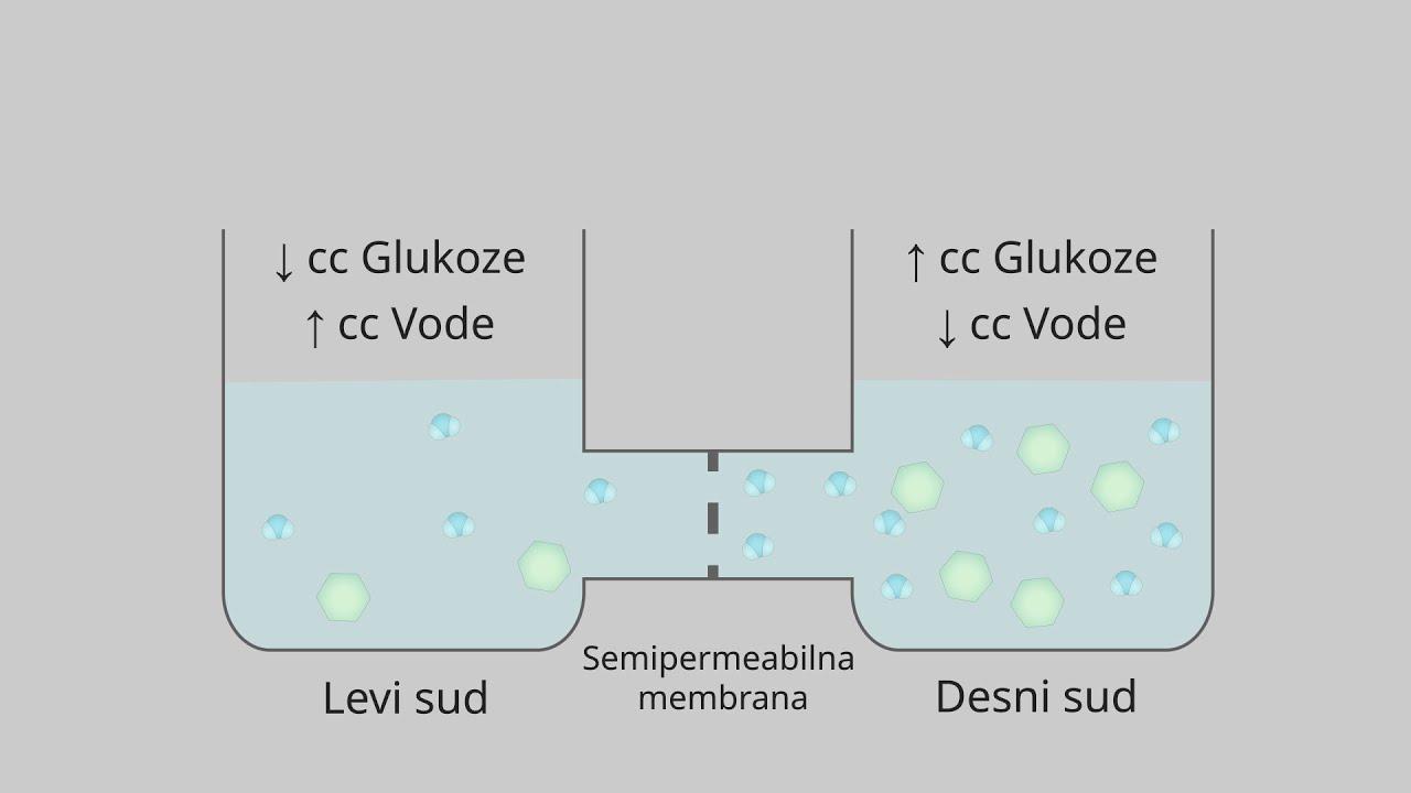 Osmoza: osnovni mehanizmi difzije vode