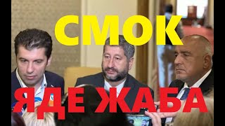 Георги Даскалов: Смок яде жаба. ППДБ и Борисов. И други особености на националната политика