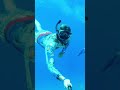 Freediving maldivs