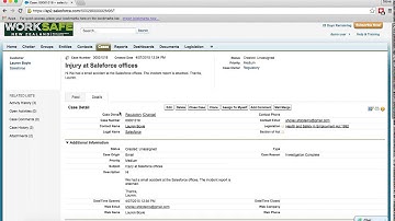 Worksafe Salesforce Prototype   Assign Work