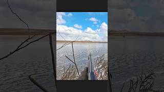 Русская утиная охота. #DuckHunting#DuckHuntingGame#HuntingGame#DuckGame#HuntingSimulator#DuckShooter