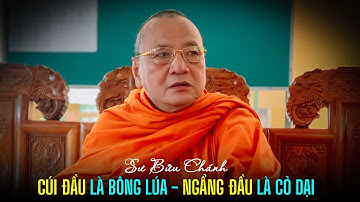 Cúi đầu là bông lúa, ngẩng đầu là cỏ dại - Sư Bửu Chánh (hay quá)