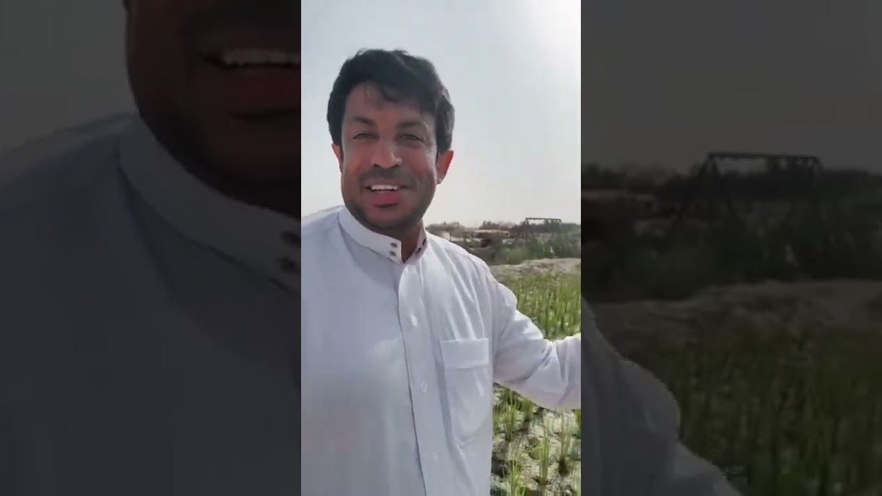 سماد الدواجن  المركب السحري والمزارع موسى السالم