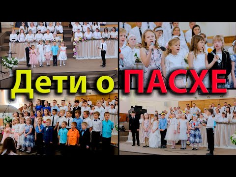 YouTube Video — Transcript