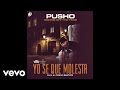 Pusho - Yo Se Que Me Molesta (Audio)