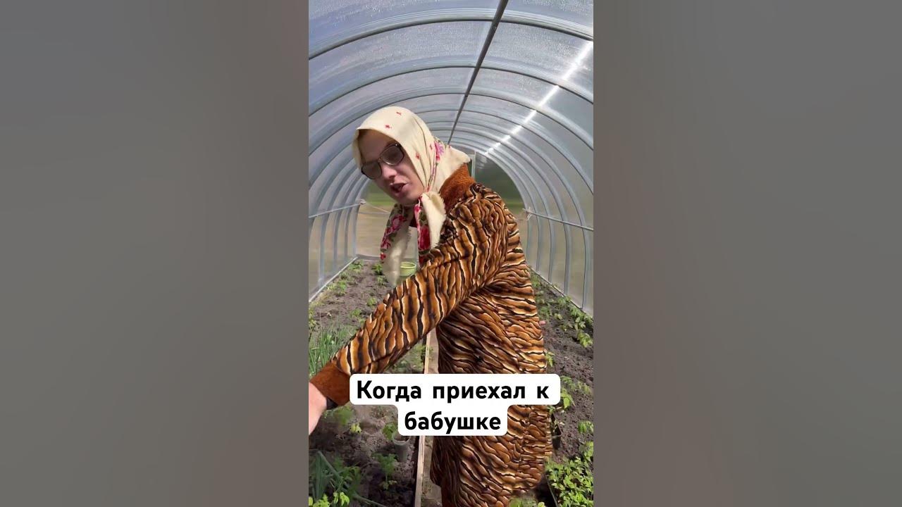 Когда приехал к бабушке😁 - YouTube