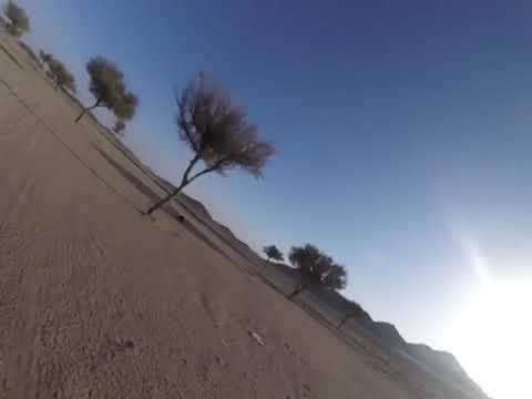 قمري صيد اليوم حائل 1439 8 10