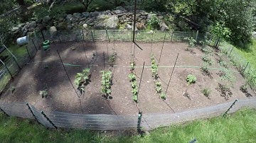 Two Tertills In a Large Garden (Time Lapse)