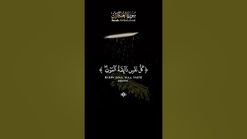 تلاوة خاشعة للقارئ ماجد خالد العماري من سورة العنكبوت ( كل نفس ذائقة الموت ) 🌹