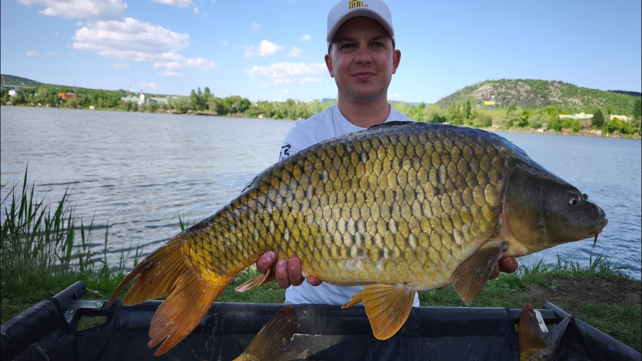 Serie Walter Competition