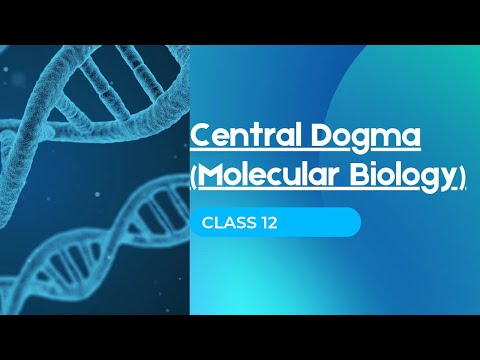 Central Dogma |