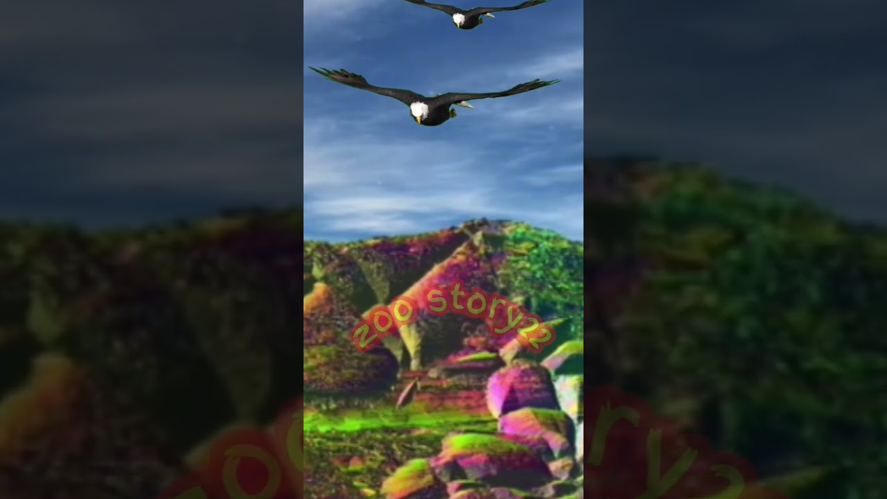 belajar mengenal burung elang 