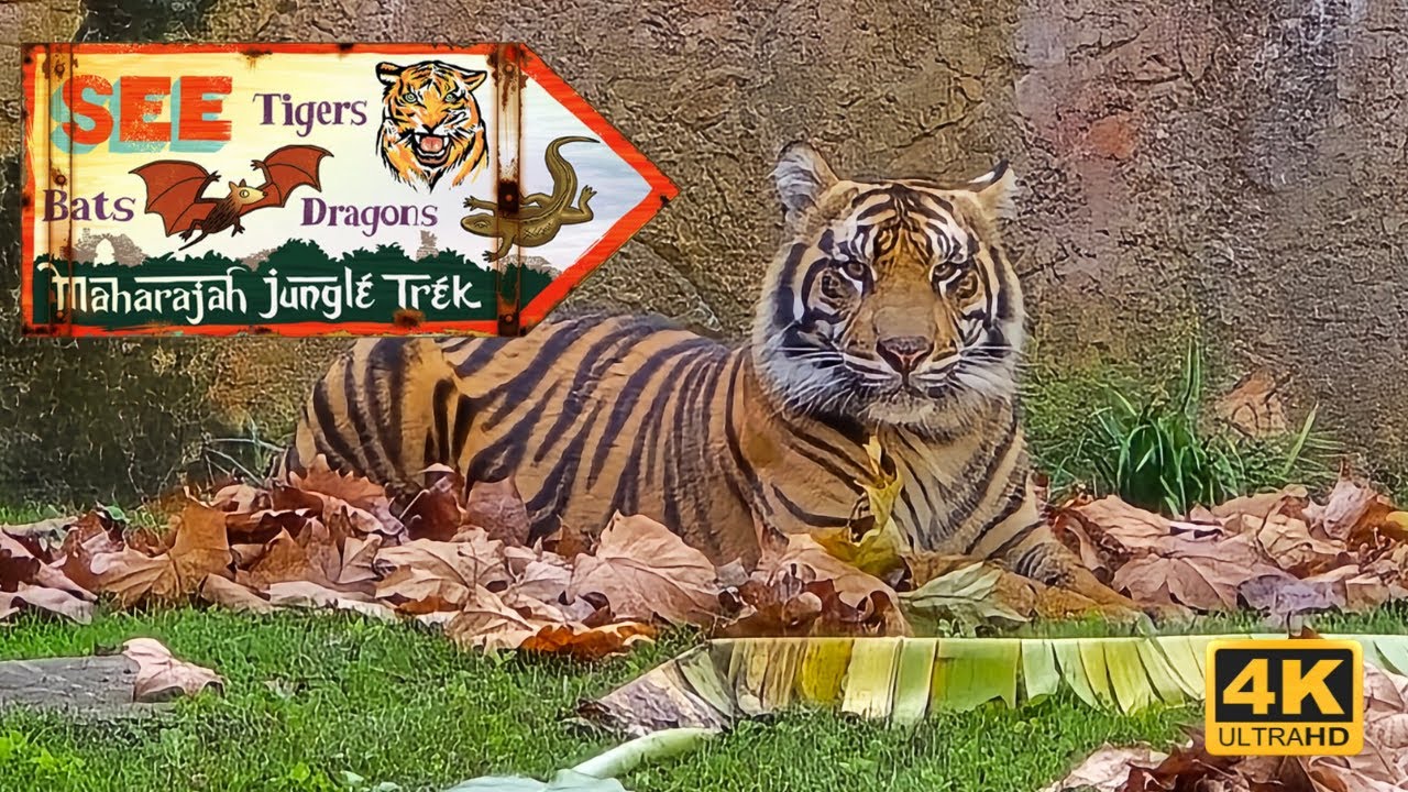 Walk Through an Abandoned Royal Jungle? 🐯 Maharajah Jungle Trek 4K Walking Tour (2025)