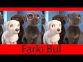 Fark Bulmacaları #2 Köpekler ile Farklı Olanı Bul | Dikkat İçerikli Test 👀